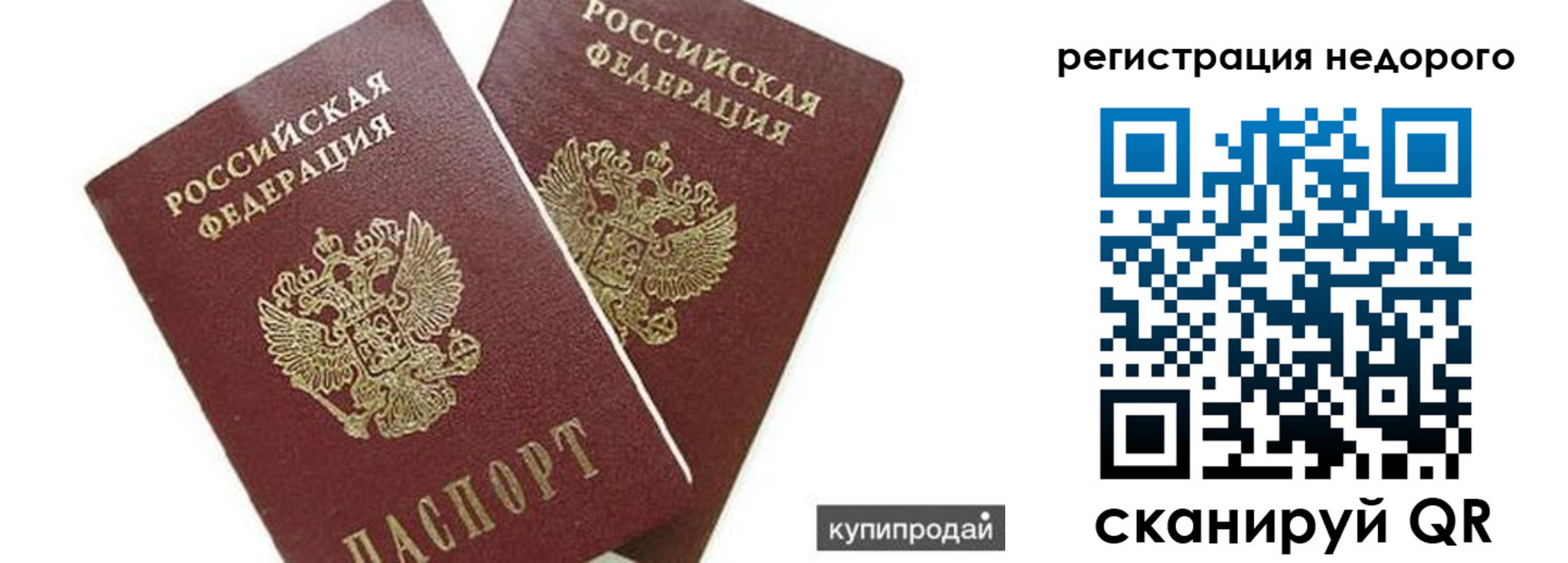прописка поиск в Зее